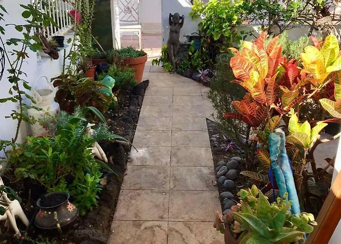 Tegueste Cute * 阿德耶