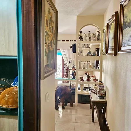 Tegueste Cute Apartmán *